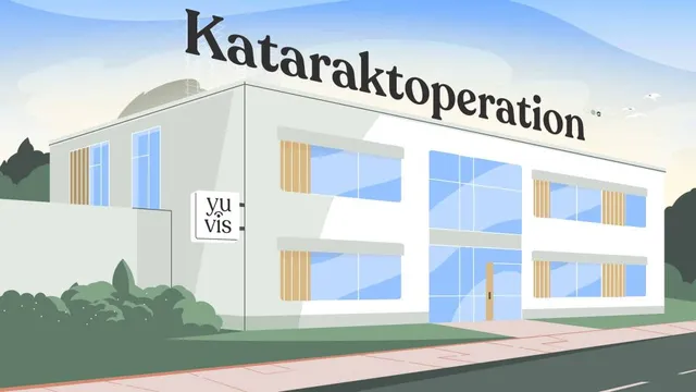 Katarakt (Grauer Star)